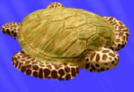 sea turtle cake sculpture using icing paints and chocolate bits
